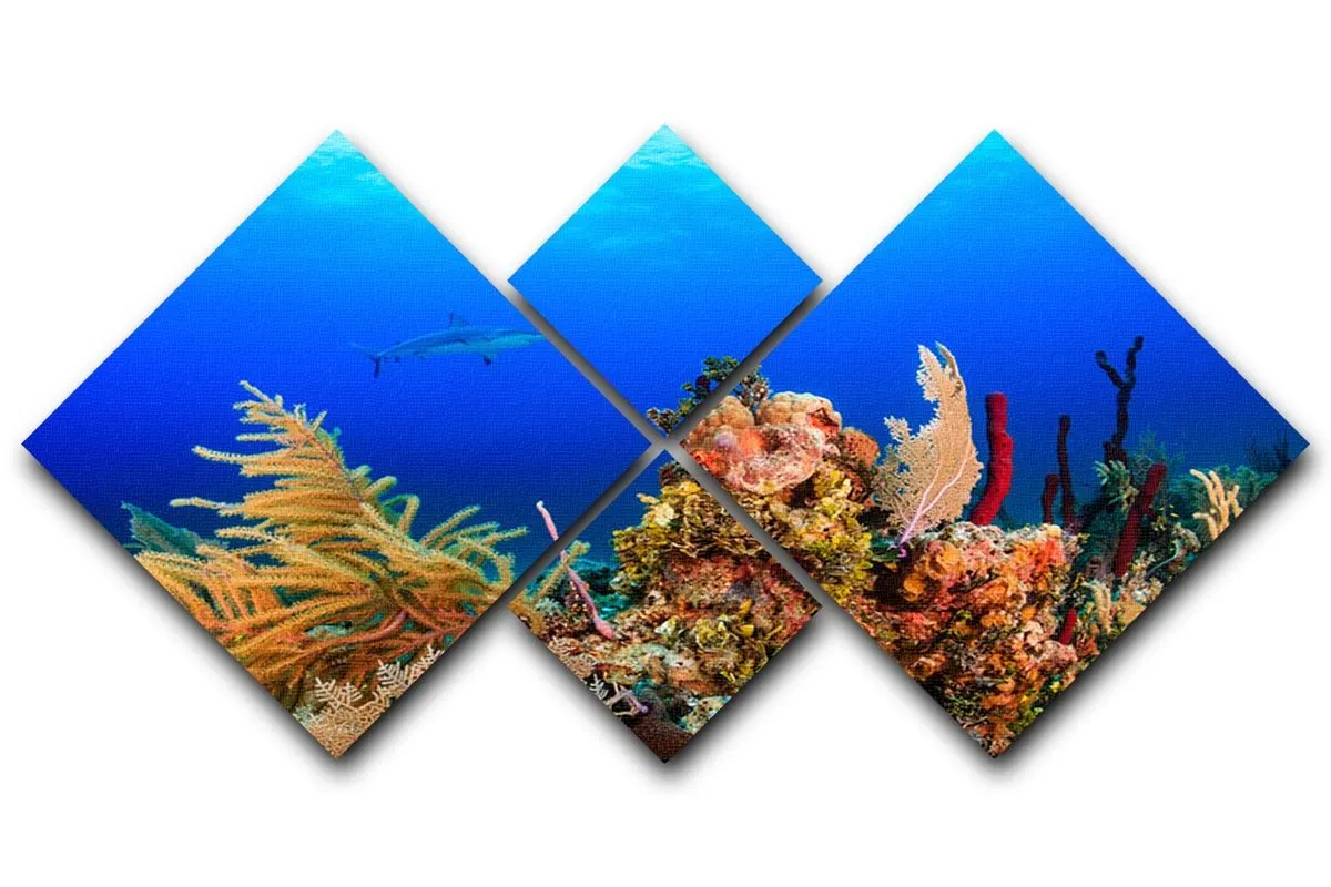 A Reef shark swimming on a tropical coral reef 4 Square Multi Panel Canvas