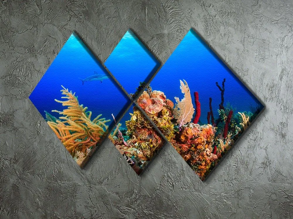 A Reef shark swimming on a tropical coral reef 4 Square Multi Panel Canvas