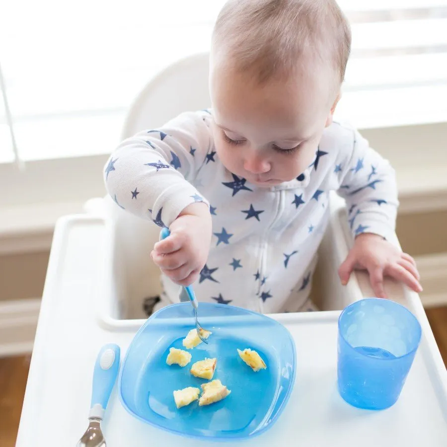 Dr.Brown's Toddler Plates 3-Pack- Multicolor