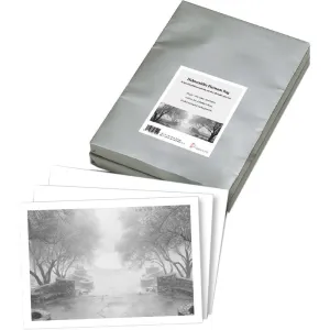 Hahnemuhle - Platinum Rag 300 gsm, 20x24, 25 sheets