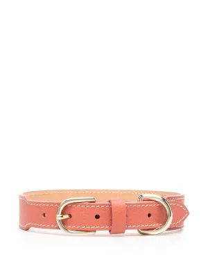 Leather pet collar