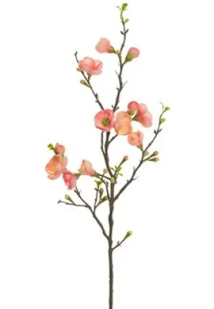 Quince Blossom Spray - 35"