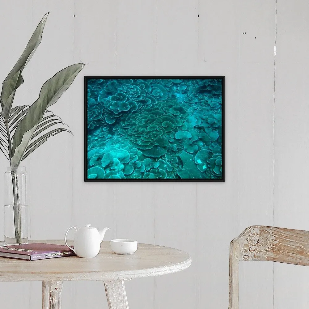 "Cabbage coral reef" Black Float Frame Canvas Art