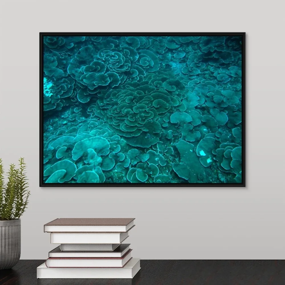 "Cabbage coral reef" Black Float Frame Canvas Art