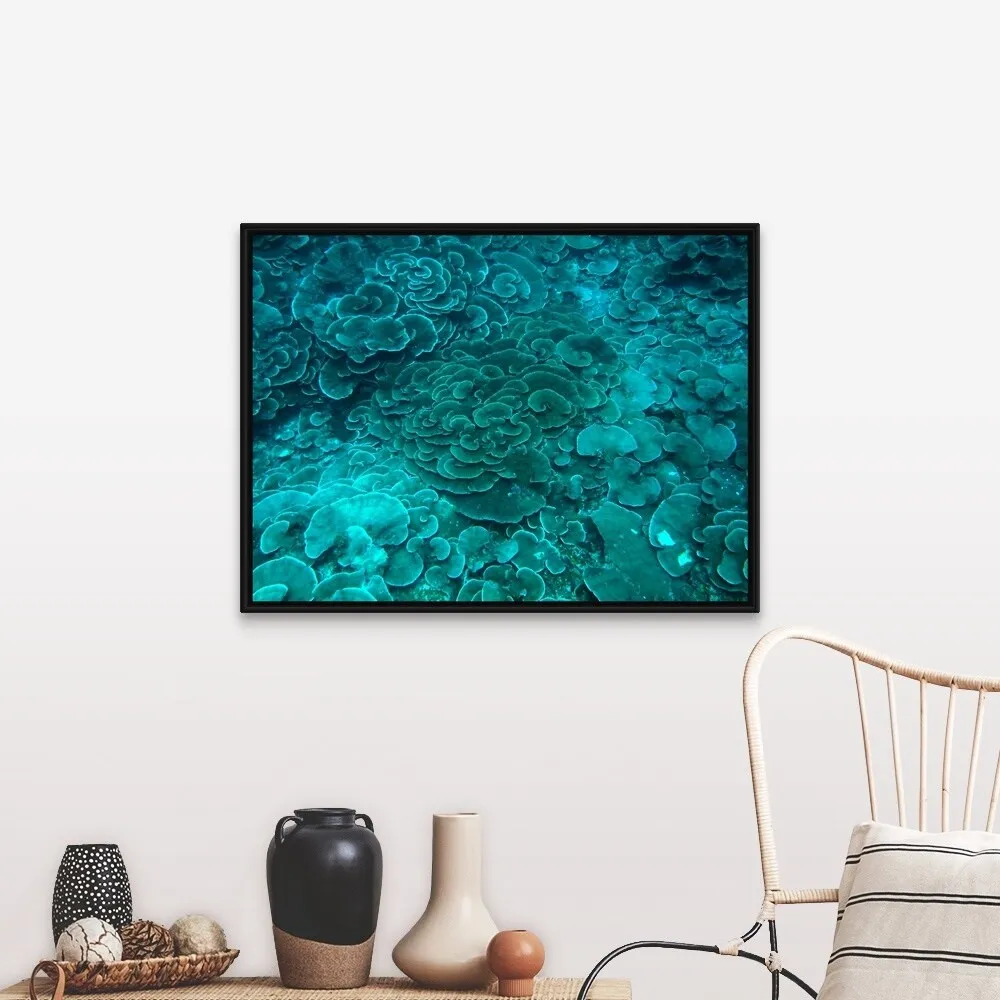 "Cabbage coral reef" Black Float Frame Canvas Art