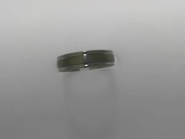 Titanium 6mm Satin Center Ring